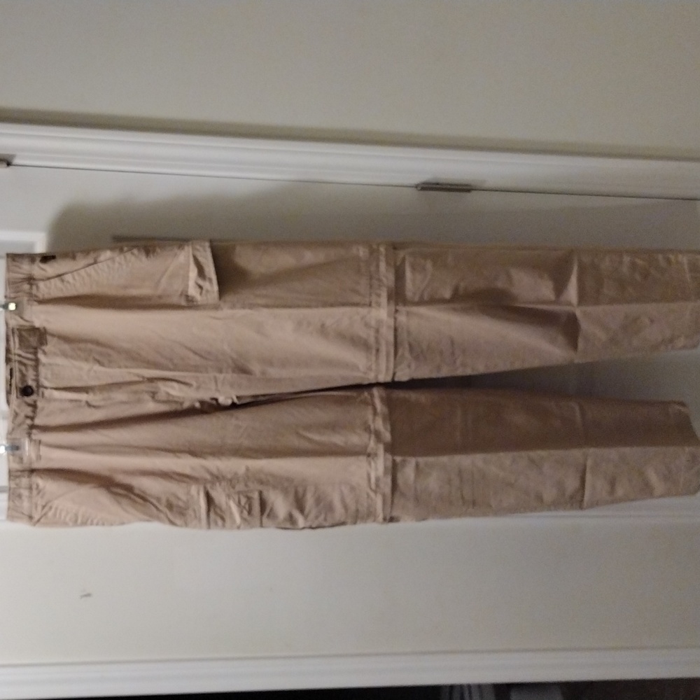 National Geographic Travel Collection Sz L Cargo Pants/Shorts with zip off legs.